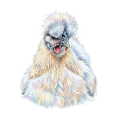 Imagen PNG para descargar